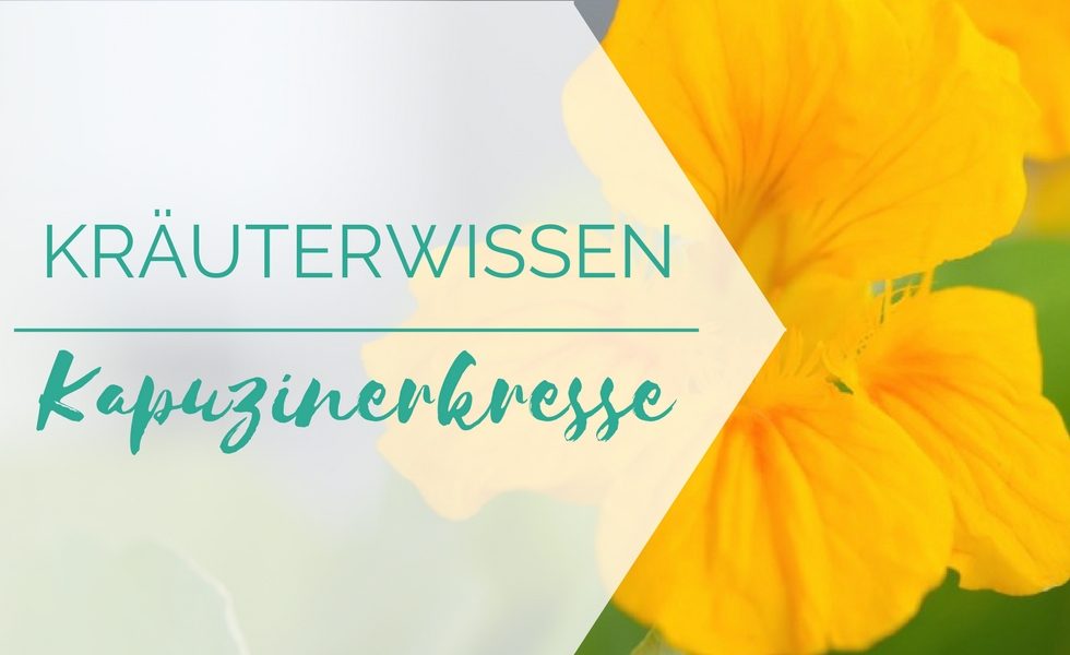 Kräuterwissen rund um die Kapuzinerkresse
