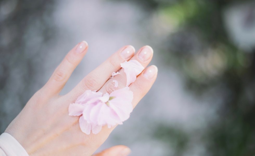 Blumen und Blüten in der Hautpflege