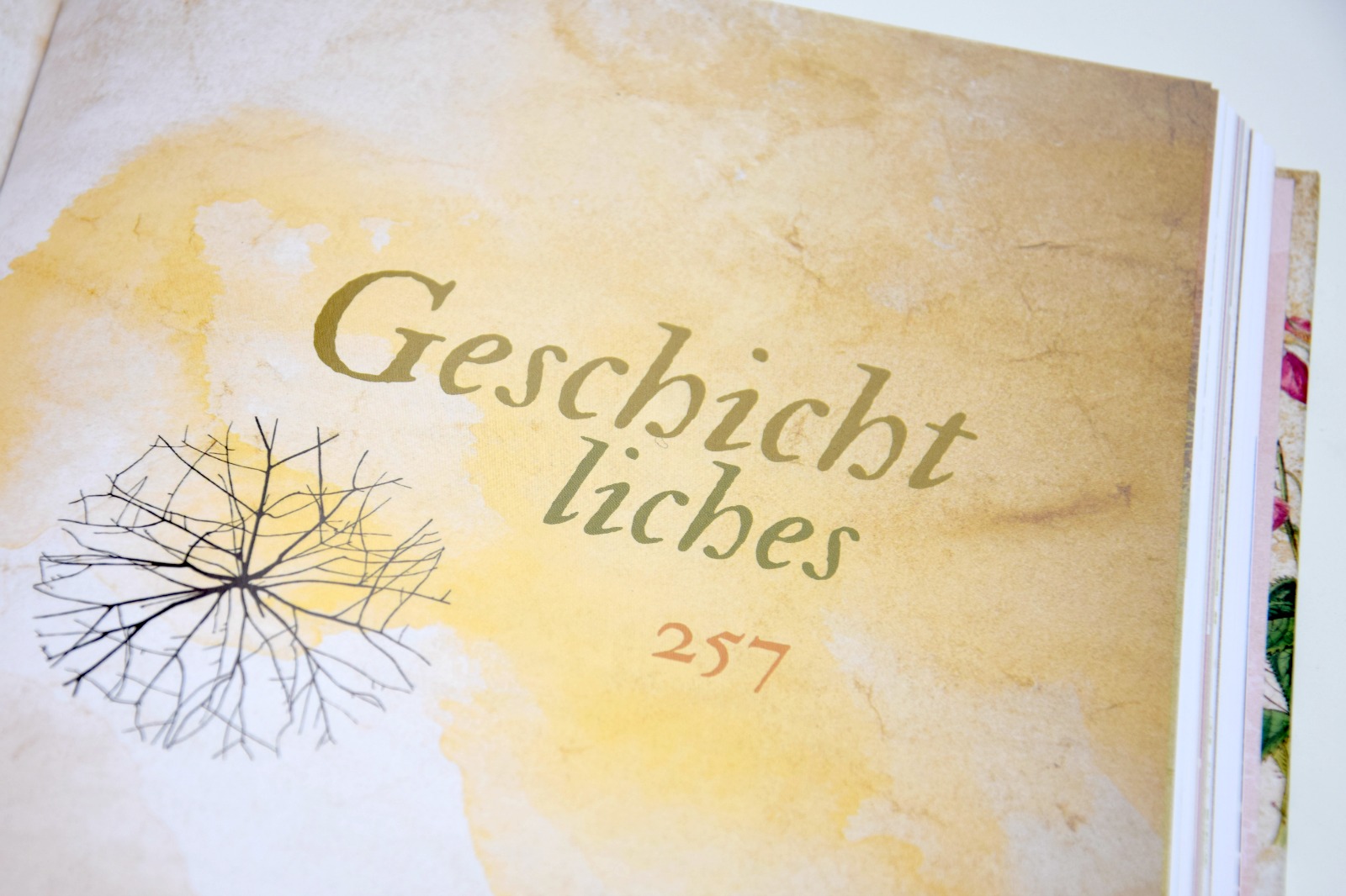 Geschichtliches