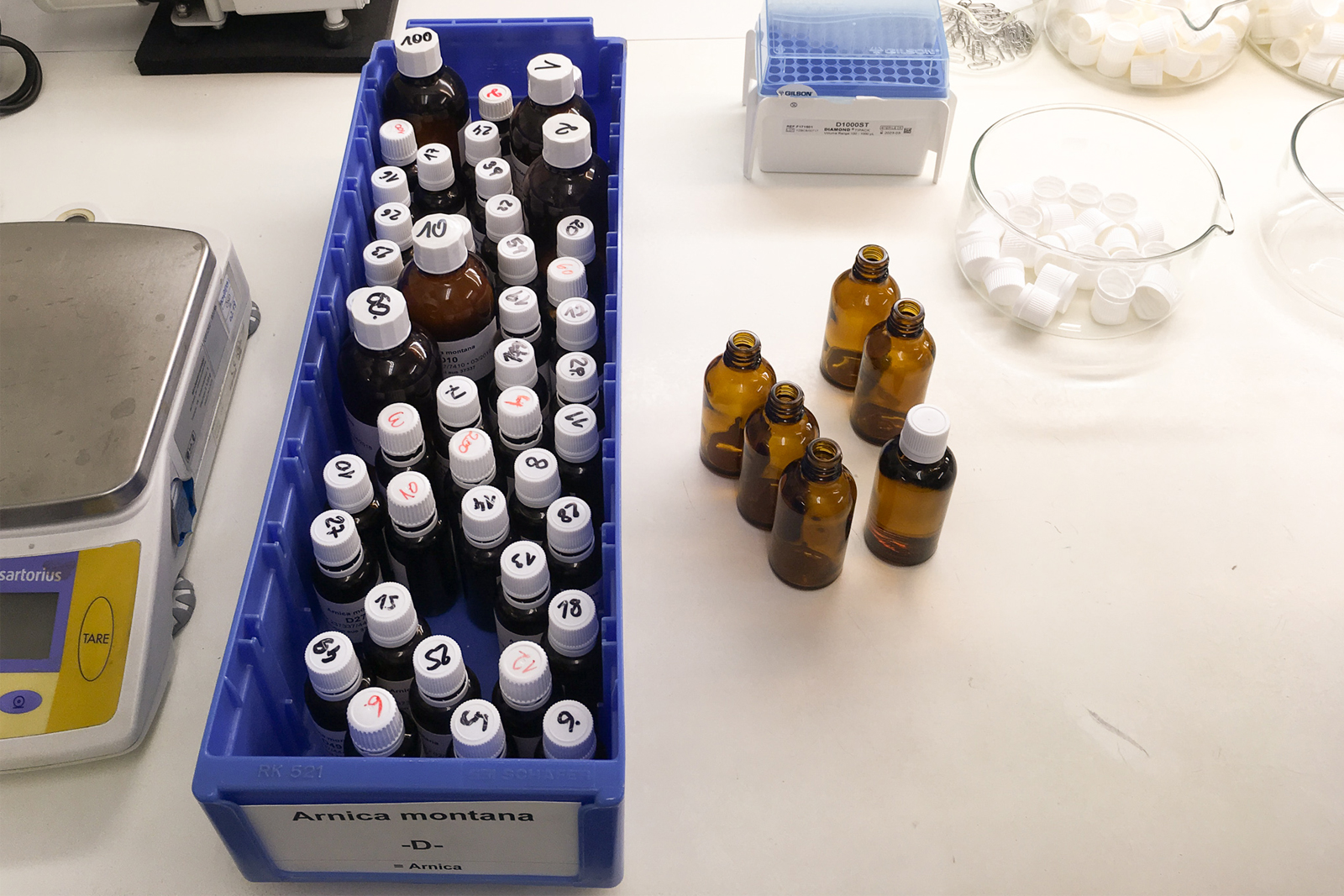 Homöopathie-im-Fokus-mit-Magister-Doskar