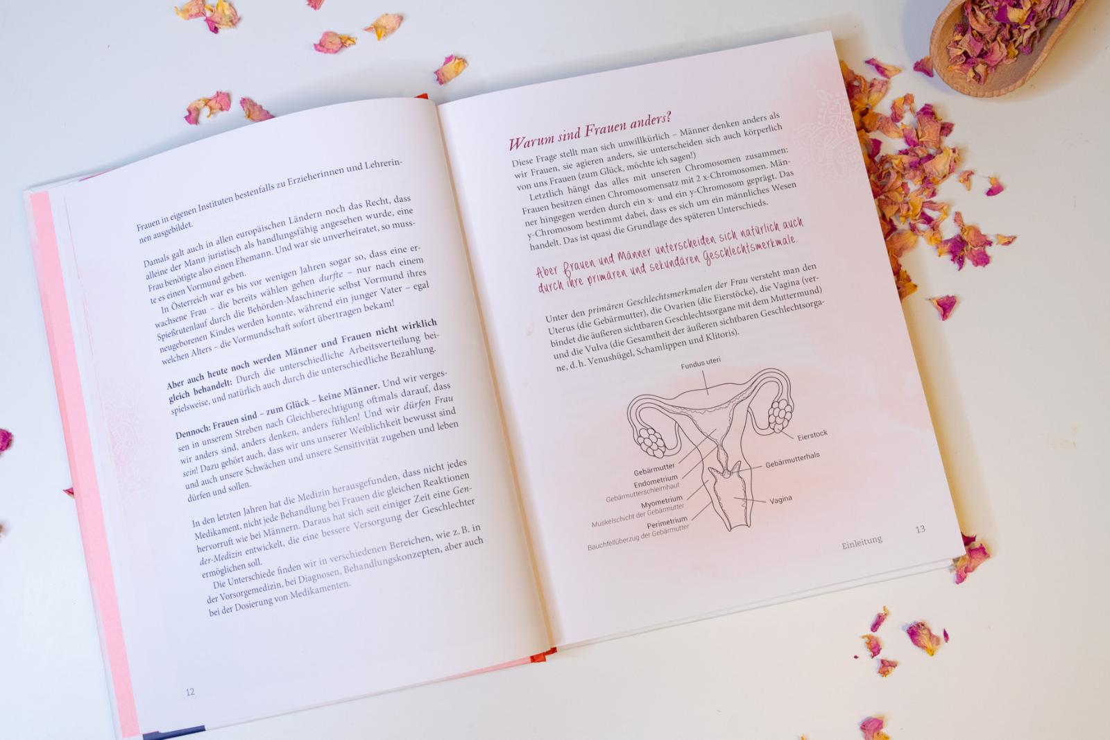 Ich bin Königin meiner Hormone_Buchrezension_Ingrid Kleindienst-John_JulesMoody