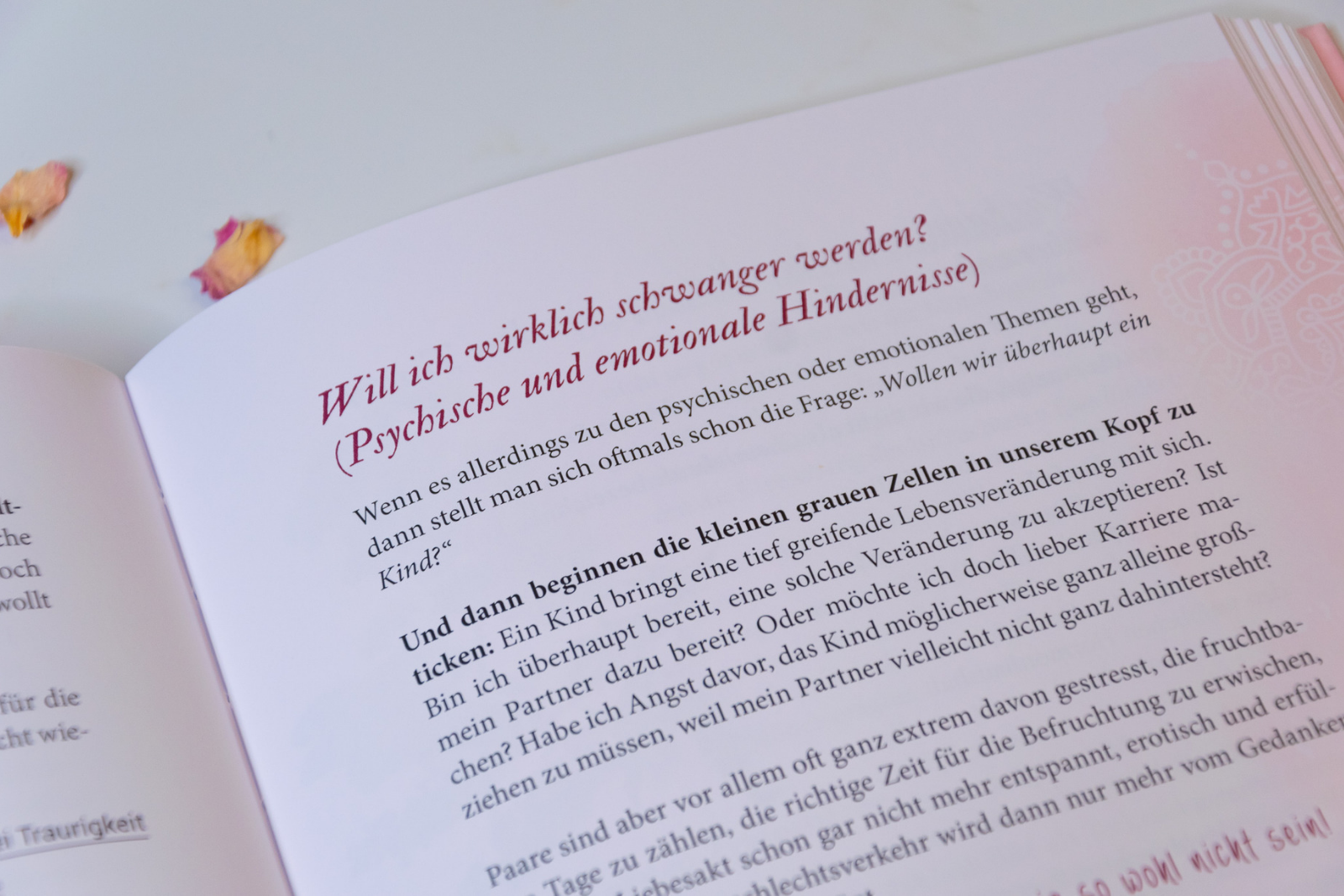 Rezension zum Buch Ich bin Königin meiner Hormone