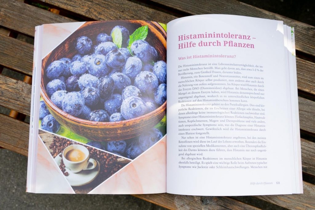 Blick ins Buch: Alternative Therapien bei Allergien