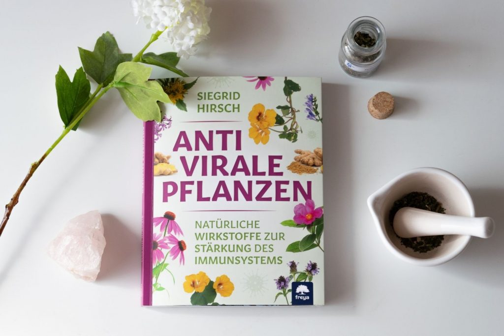 Antivirale Pflanzen von Siegrid Hirsch Buch