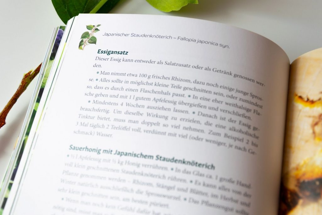 Rezepte