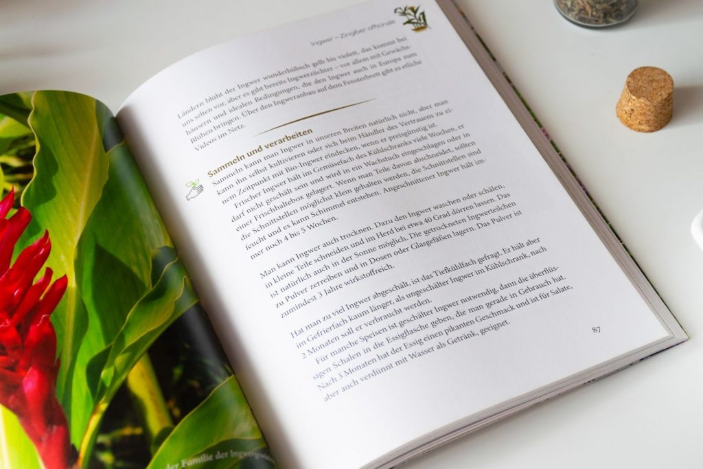 Sammeln und Verarbeiten