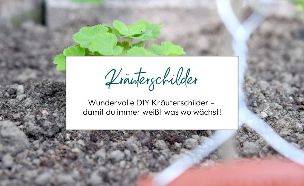 DIY Kräuterschilder
