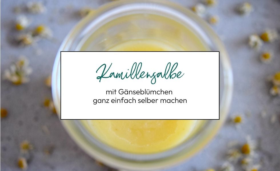 Kamillensalbe selbermachen