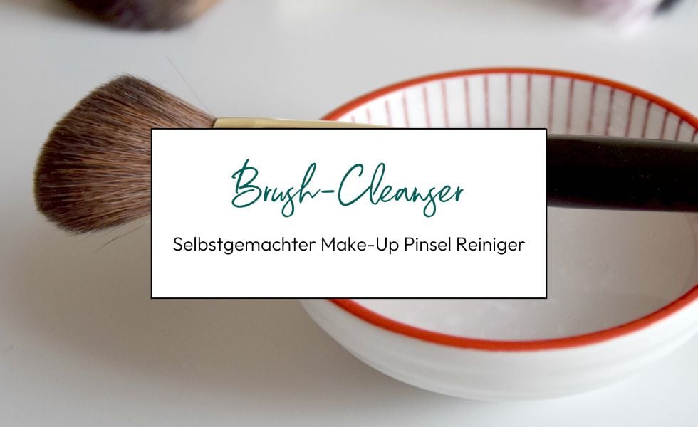 Pinsel Reiniger