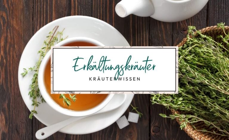 Heilkräuter gegen Schnupfen