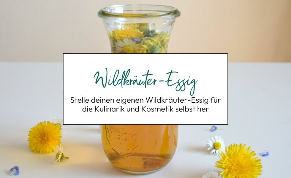 Wildkräuter-Essig