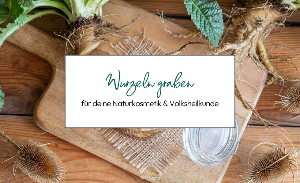 Wurzeln graben für Naturkosmetik und Volksheilkunde