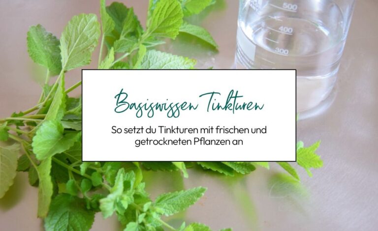 So setzt du Tinkturen mit frischen und getrockneten Pflanzen an