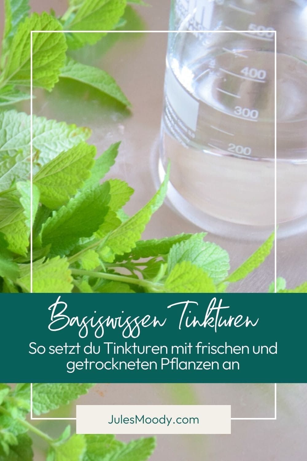 Basiswissen Tinkturen