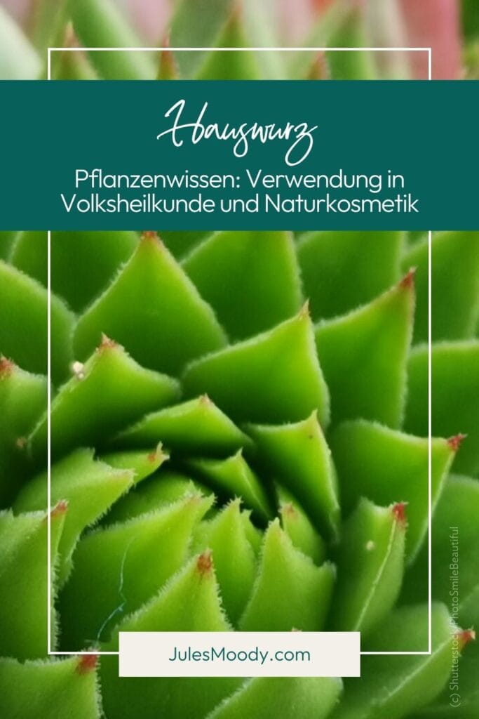 Hauswurz