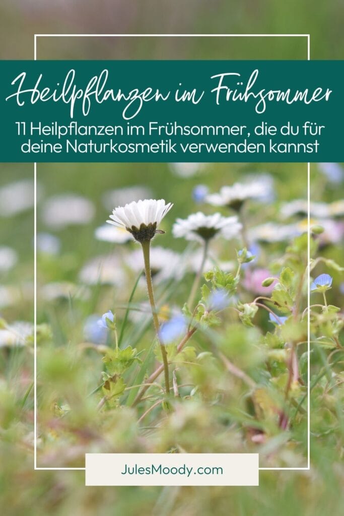 11 Heilpflanzen im Frühsommer für deine Naturkosmetik