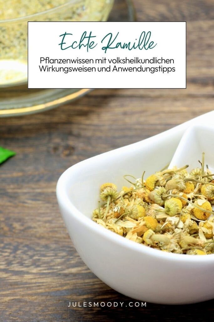 Kräuterwissen über die echte Kamille