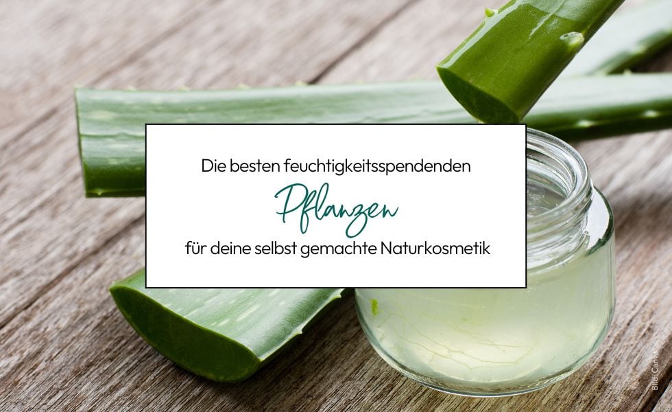 Feuchtigkeitsspendende Pflanzen für deine selbstgemachte Naturkosmetik