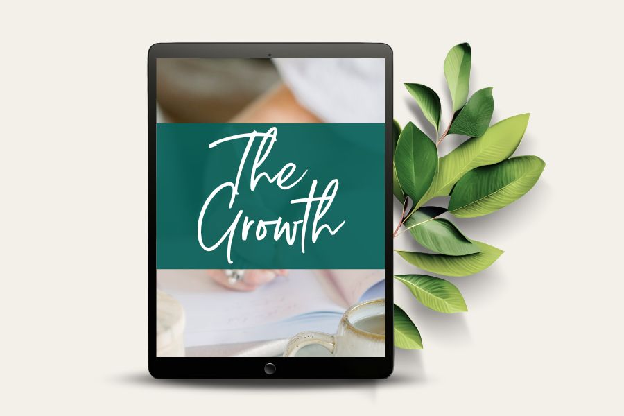 1:1 Business Mentoring The Growth