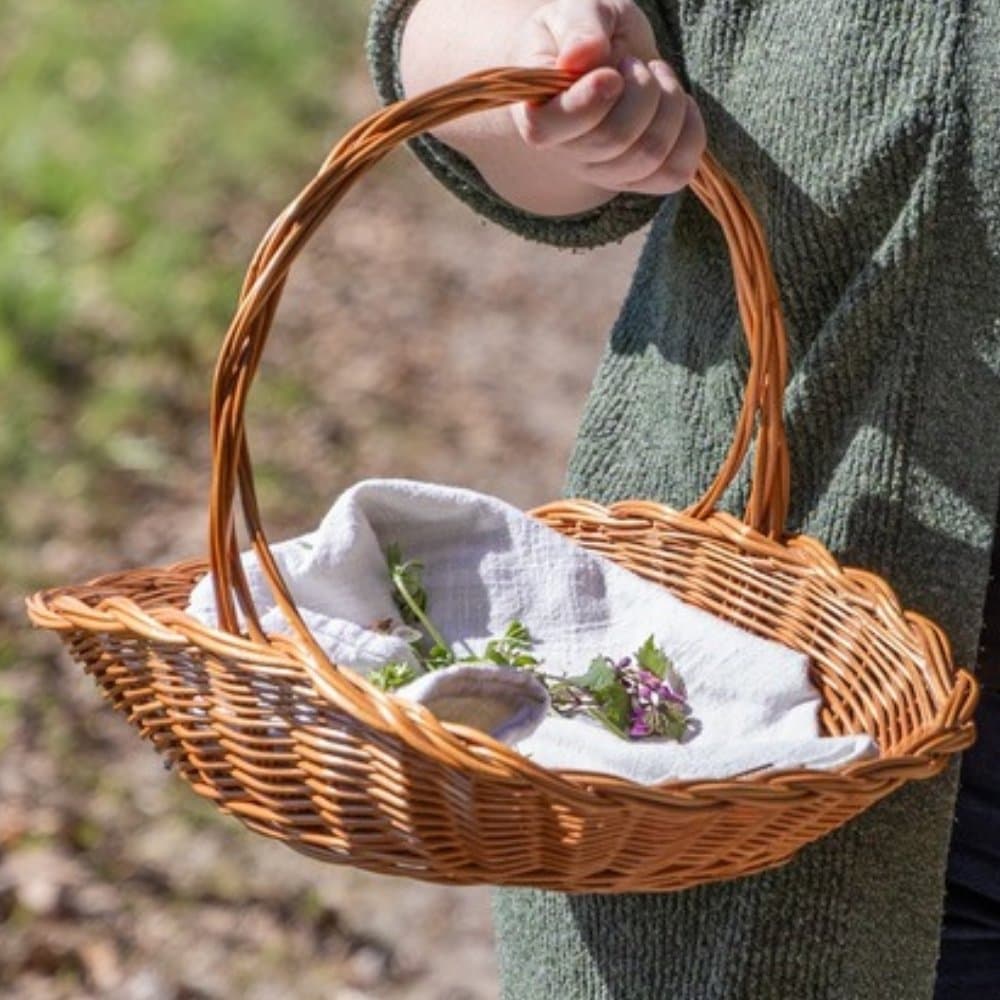 Korb mit frisch gesammelten Wildpflanzen für selbstgemachte Naturkosmetik