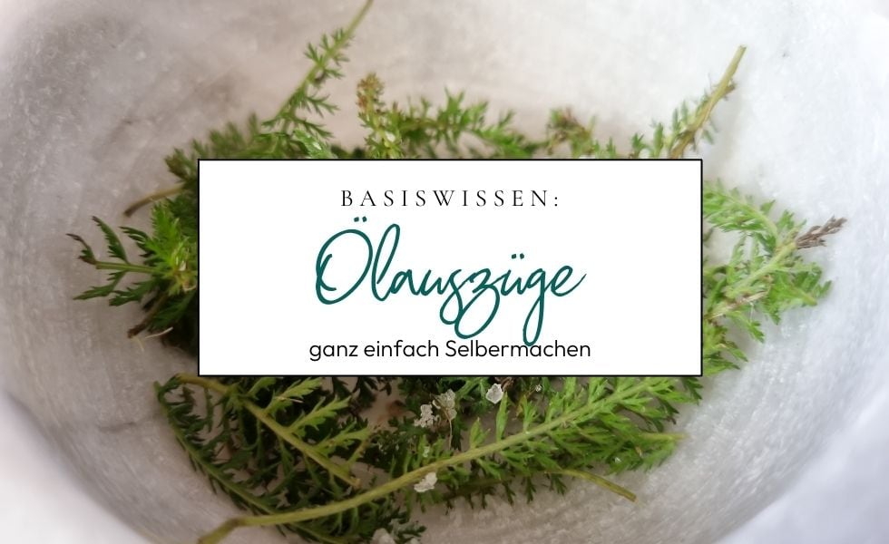 Basiswissen: So stellst du Ölauszüge aus Pflanzen und Kräutern her!