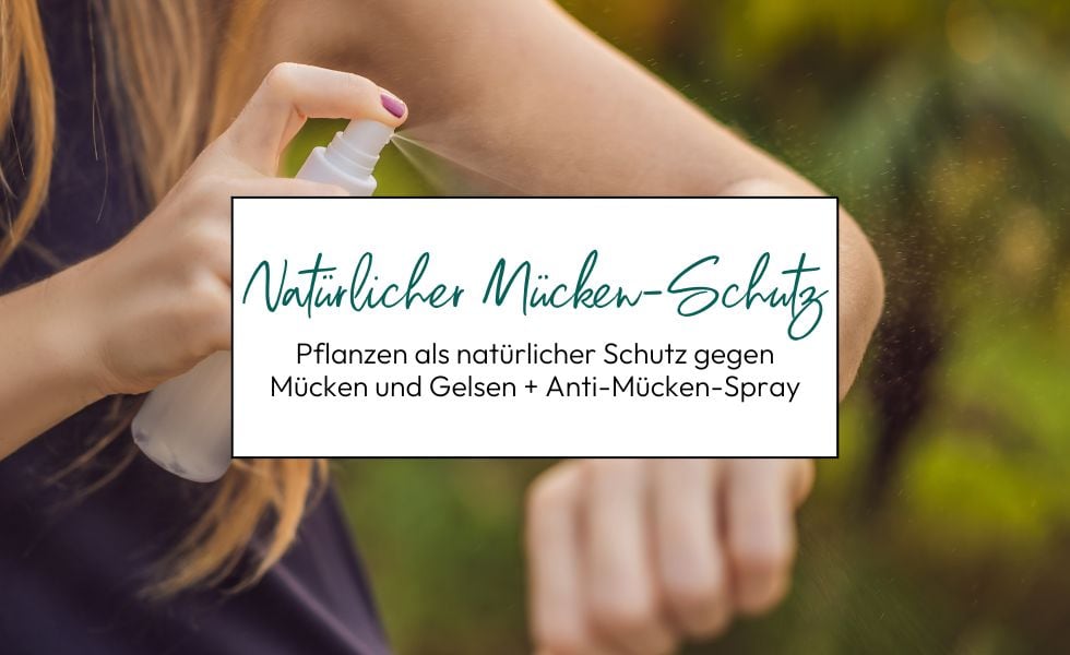 Pflanzen als natürlicher Schutz gegen Gelsen + Anti-Mücken-Spray