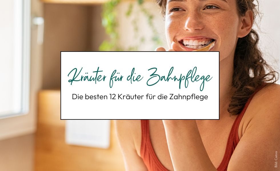 Die besten 12 Kräuter für die Zahnpflege