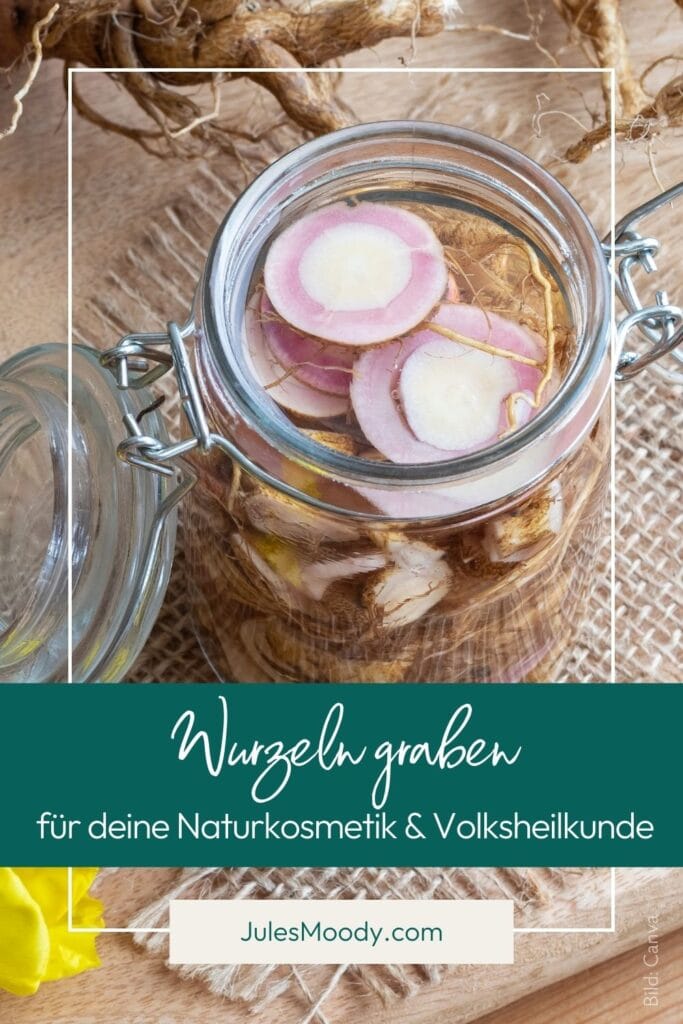 Wurzeln graben für Naturkosmetik und Volksheilkunde