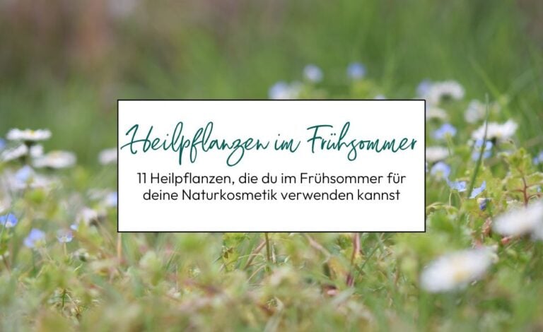 11 Heilpflanzen im Frühsommer für deine Naturkosmetik