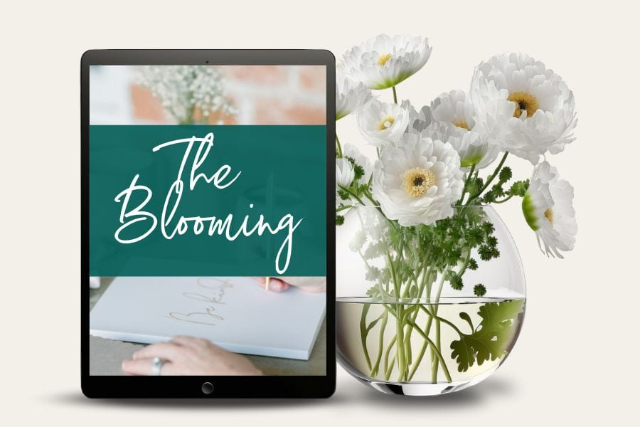 1:1 Business Mentoring The Blooming