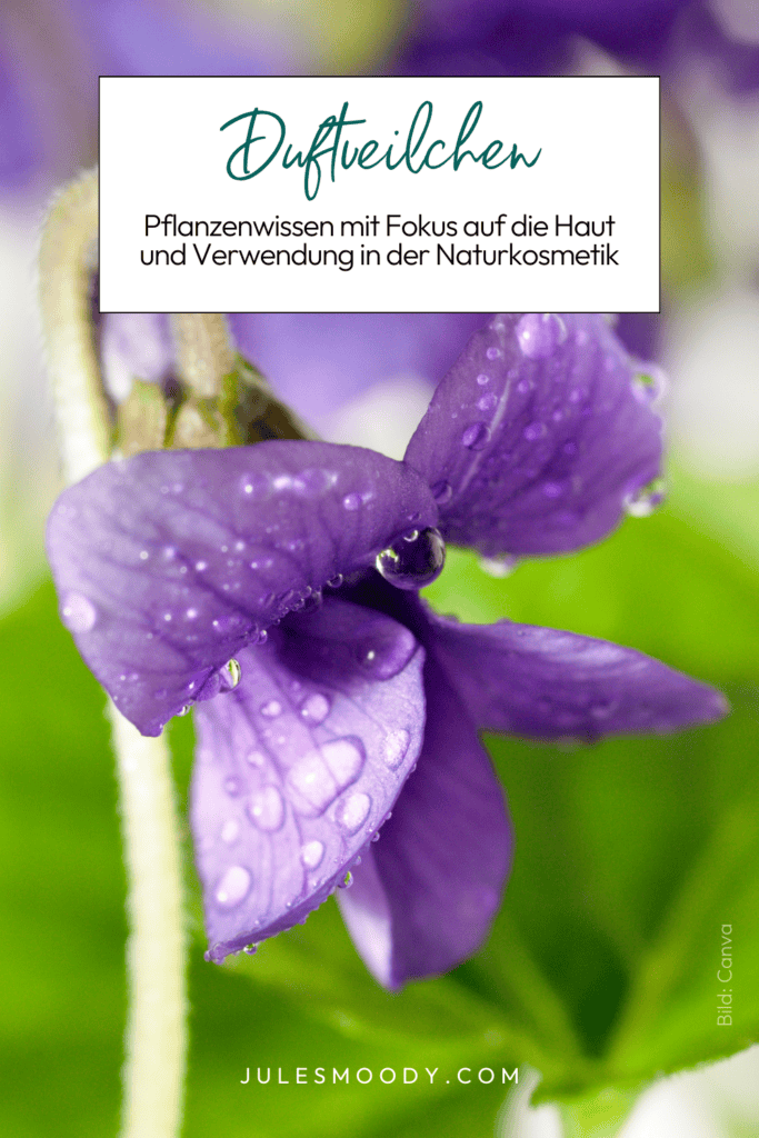 Duftveilchen Viola odorata Wirkung auf die Haut